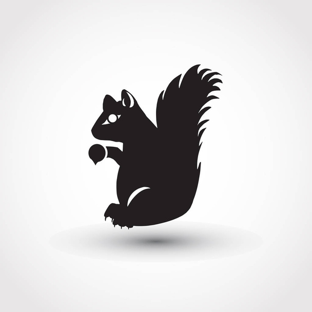 Forest animal squirrel. Nature objects of Wildlife mammals. - Vector, Image