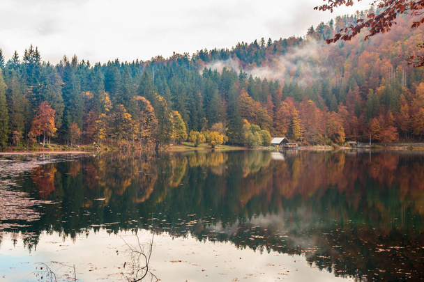 Dağ gölü, sonbahar yaprakları - Fotoğraf, Görsel