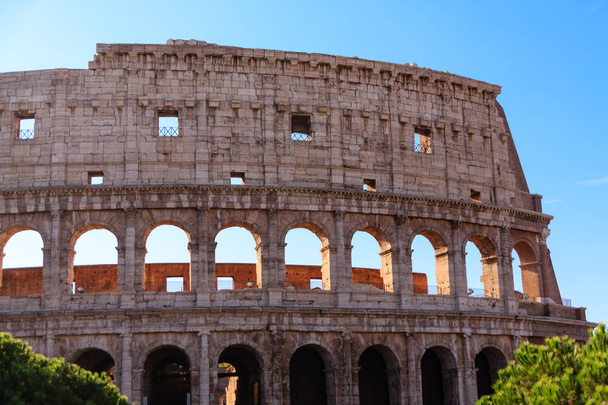 Muralla del Coliseo Romano
 - Foto, imagen