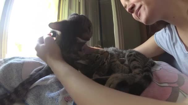 4k, jonge vrouw in bed met twee katten,, knuffelen, zoenen en knuffelen - Video