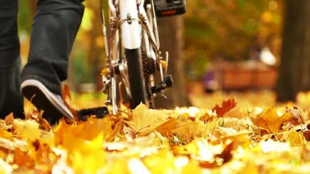 Az ember megy kerékpár ősszel Central park. Lábak.  - Felvétel, videó