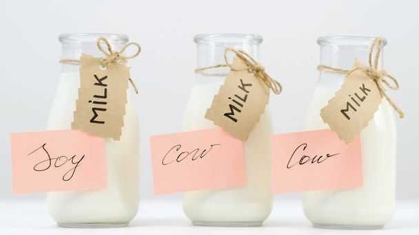 various milk types soy cow healthy vegan lifestyle - Фото, зображення