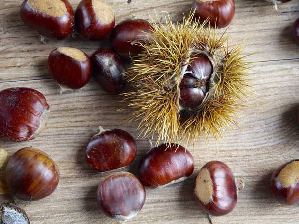 Chestnut background - fall concept - Photo, Image