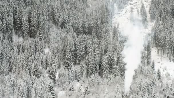 χιόνι Χειμώνας δάσος έλατα δέντρα υφή σωλήνα καπνοδόχων καπνού. - Πλάνα, βίντεο