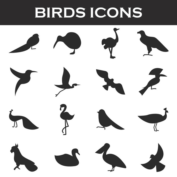 zestaw ikon ptaków - Wektor, obraz