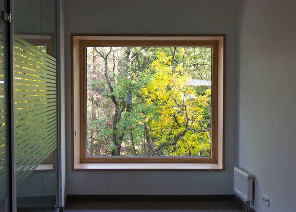 Pohled na žluté zelené stromy proskleným oknem - Fotografie, Obrázek