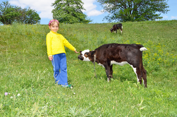 The Child and calf - Photo, Image