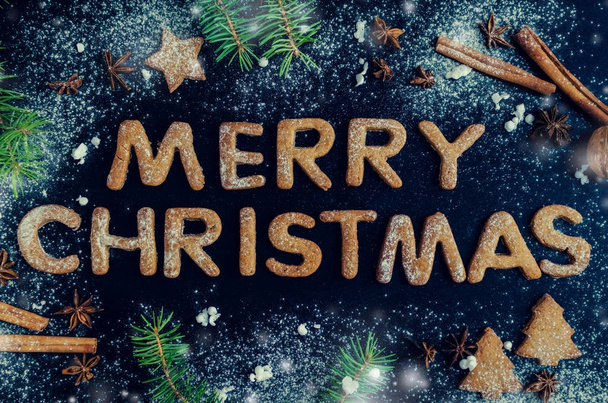 Christmas fir tree on chalkboard background - Photo, Image