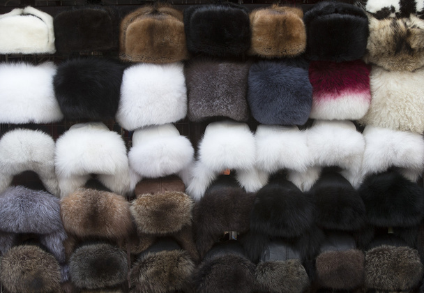 Fur hats - Photo, Image