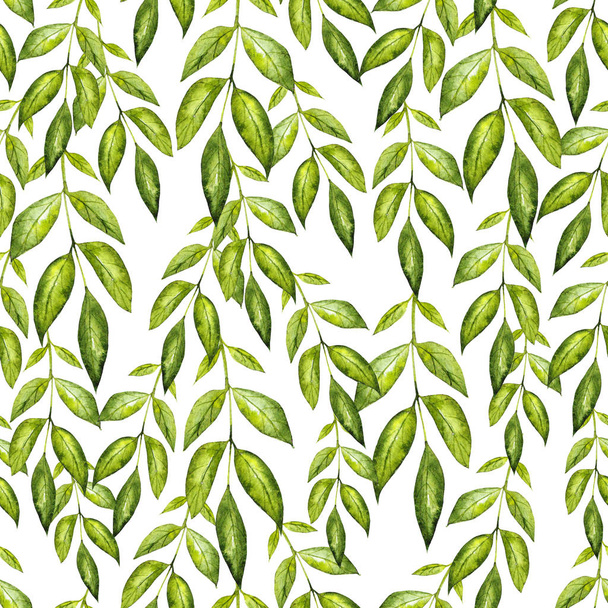 Beautiful watercolor pattern with green leaves. Illustration - Foto, afbeelding