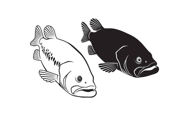 bass fish isolated on white, vector illustration - Vector, Image