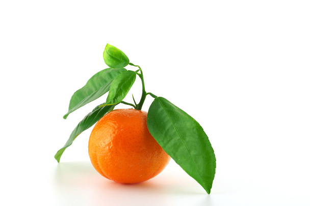 Спелый свежий мандарин
 - Фото, изображение