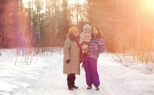 Зимний парк под снегом. Январская утренняя прогулка - Фото, изображение