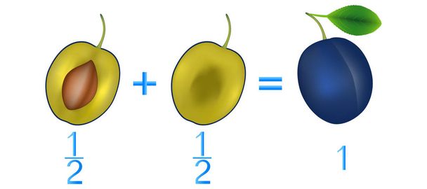 Action relation d'addition moitiés, exemples avec prunes. Jeu éducatif pour les enfants
. - Vecteur, image