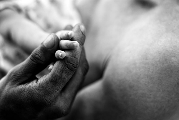 La main du vieillard tient la petite main de l'enfant
 - Photo, image