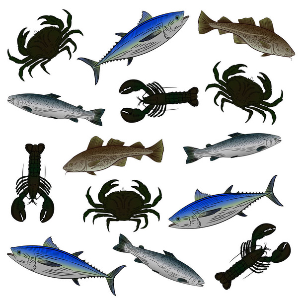 eine Reihe von Farbzeichnungen zum Thema Meeresfrüchte. Lachs, Thunfisch, Kabeljau, Hummer, Krabben. Vektorillustration - Vektor, Bild