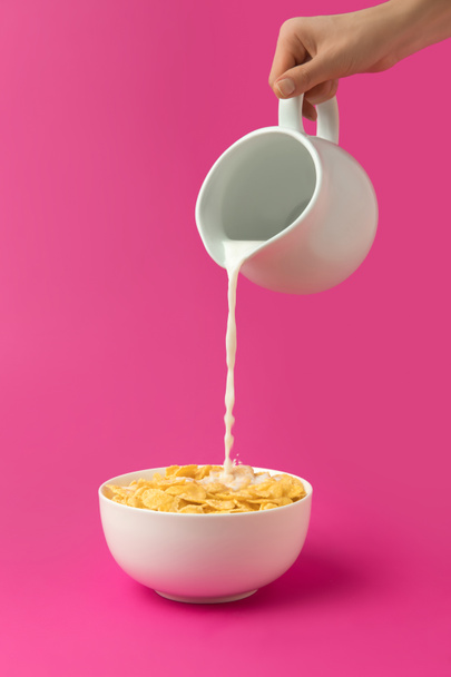 abgeschnittene Aufnahme einer Person, die frische gesunde Milch aus einem Krug in eine Schüssel mit auf rosa isolierten Cornflakes gießt  - Foto, Bild