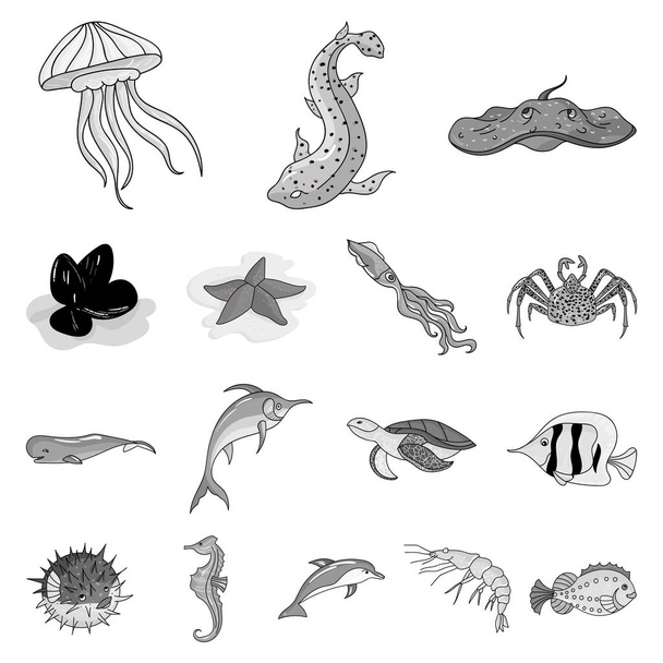A variety of marine animals monochrome icons in set collection for design. Fish and shellfish vector symbol stock web illustration. - Vettoriali, immagini