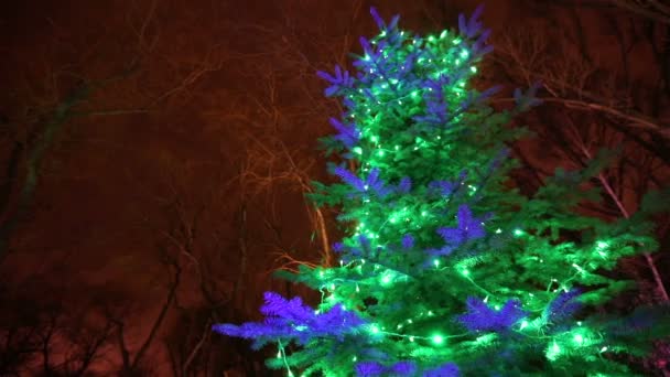 Modernin talon tai ravintolan ulkopuolella joulukuusen valot valaistaan puissa, yötaivaalla, kameran liikkeessä, joulukuusen valoilla koristellussa puussa, korkeissa puunvaloissa, näkymä alhaalta
 - Materiaali, video
