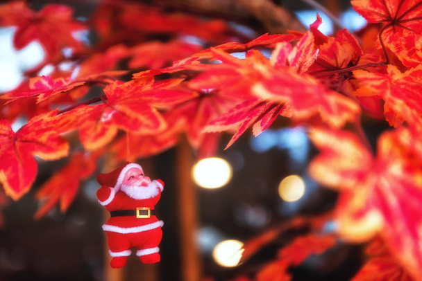 Lalka Santa Claus czerwony na drzewa klonowego - Zdjęcie, obraz