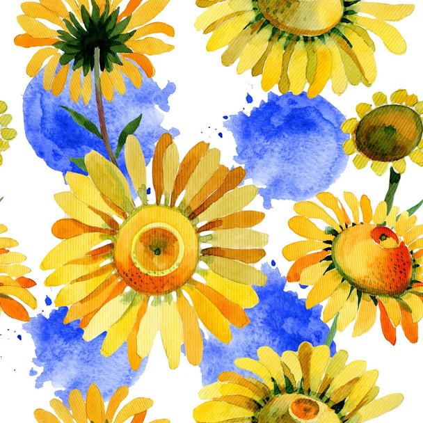 Wildflower yellow chamomile flower pattern in a watercolor style. - Foto, Imagem