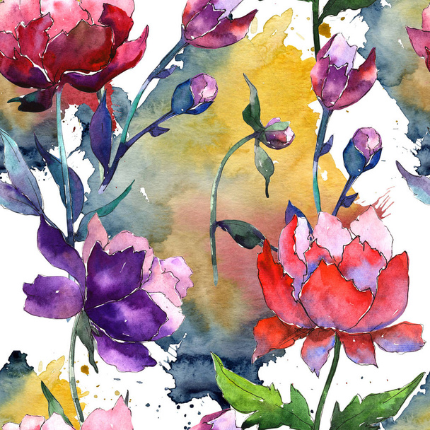 Modèle de fleur de pivoine de fleur sauvage dans un style aquarelle
. - Photo, image