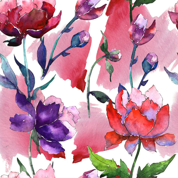 Wildflower peony flower pattern in a watercolor style. - Φωτογραφία, εικόνα