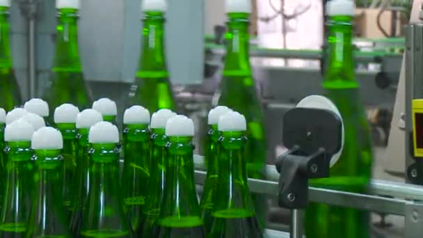 Fabriek voor de productie van champagne. - Video