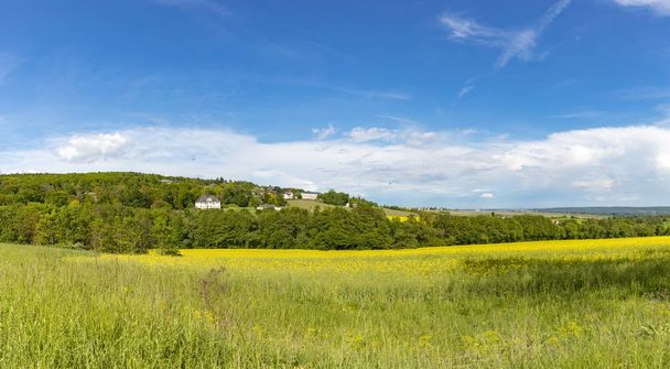 Paysage rural avec champ au printemps comme symbole de la nature à Eltville
 - Photo, image