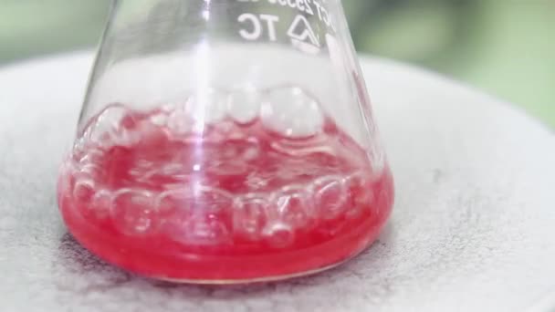Red liquid is bubbling in a flask - Footage, Video
