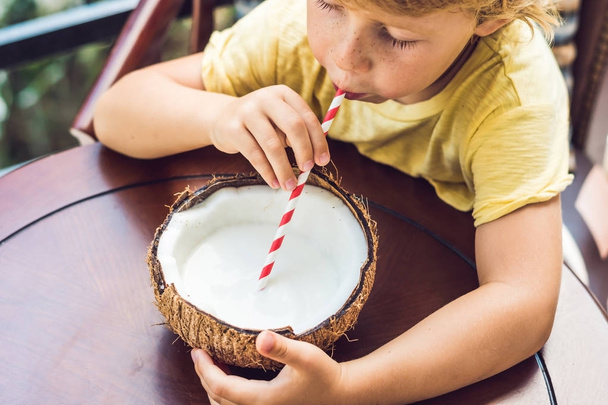 Little boy drinks homemade coconut milk from a half of coconut. - Fotoğraf, Görsel