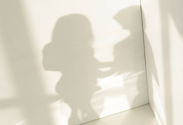 white room with dim shadow couples.background. - Fotografie, Obrázek