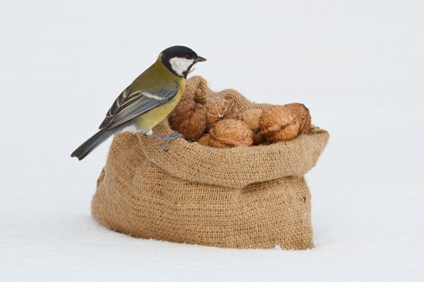mezen en een zak van walnoten in de sneeuw - Foto, afbeelding