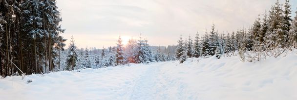 zimní snow krajina. panoramatický záběr. - Fotografie, Obrázek