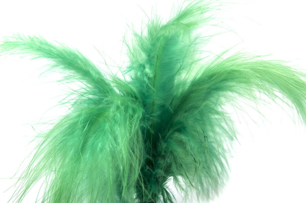 juguete verde para levantar patada con pluma aislada sobre el fondo blanco
. - Foto, Imagen