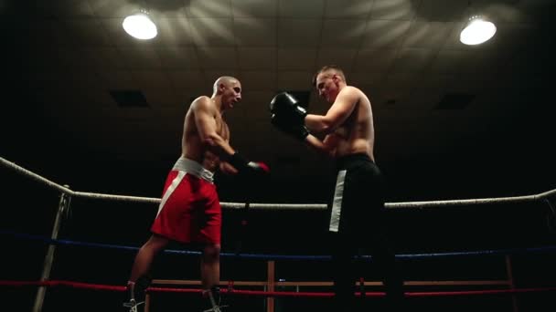 Twee professionele boksers houdt een welkom kick met handschoenen, en beginnen te verslaan elkaar in de ring. Groothoek. Camera op het tuig. - Video