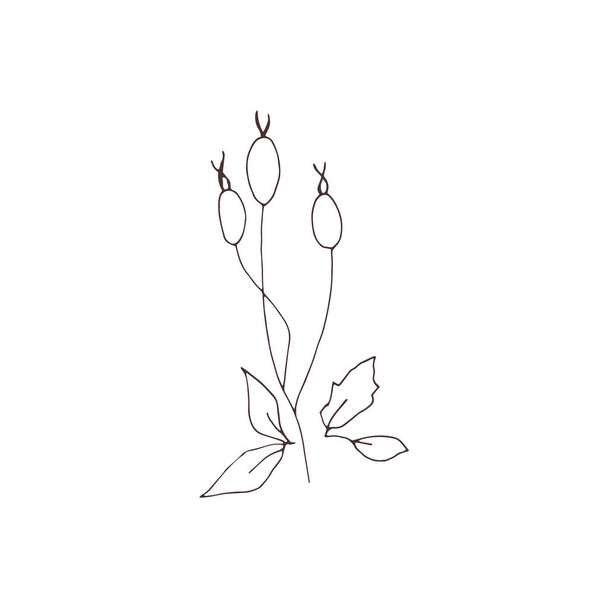 Vector Christmas floral element - Вектор, зображення