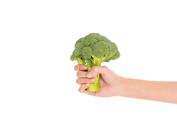 close-up partial view of female hand holding fresh organic broccoli isolated on white - Fotoğraf, Görsel