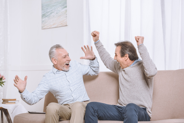 Dos hombres adultos felices sentados en el sofá y celebrando eufóricos en la sala de estar ligera
 - Foto, Imagen
