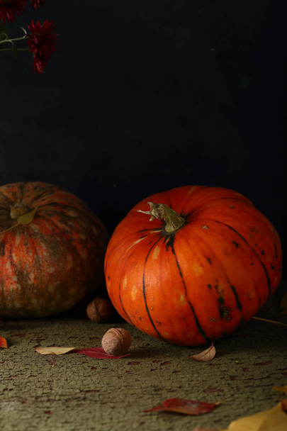 Dark pumpkin background - Photo, image