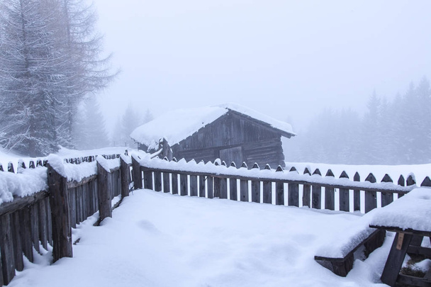 προσωπικό.το πρωινό πολύ χιονισμένο και ομιχλώδες τοπίο το χειμώνα - Φωτογραφία, εικόνα