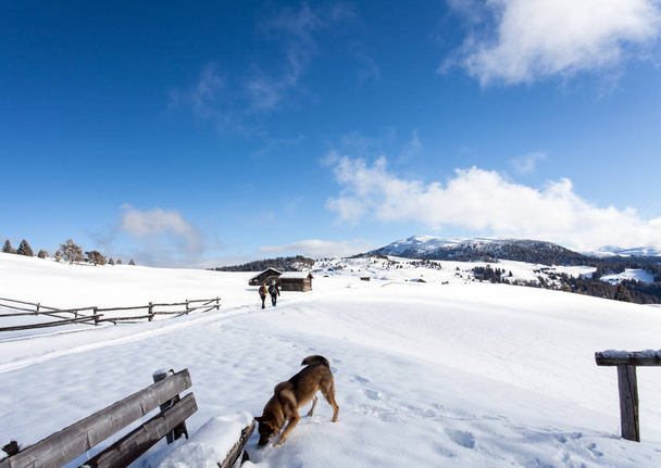 Alto Adige escursioni invernali paesaggio di viaggio
  - Foto, immagini