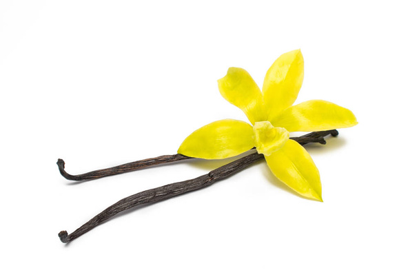 Оригинальный ванильный цветок с сушеными палочками
 - Фото, изображение
