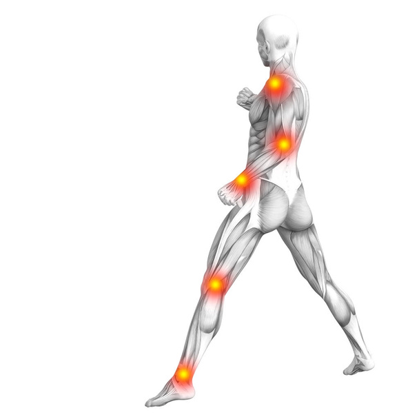 Conceptuele menselijke spier anatomie met rode en gele hotspot ontsteking, osteoporose, sport concept   - Foto, afbeelding