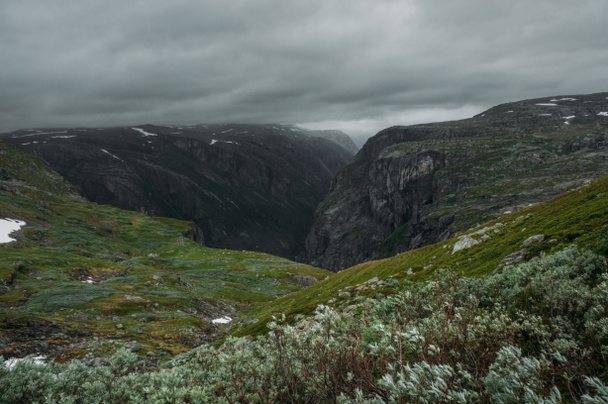 met gras begroeide hellingen van rotsen tijdens mistig weer, Noorwegen, Hardangervidda Nationaal Park - Foto, afbeelding