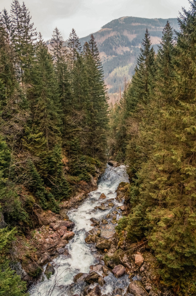 view of river stream surrounded by trees and stones on shores, hills on background, Morskie Oko, Sea Eye, Tatra National Park, Poland - Foto, imagen