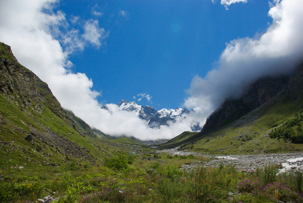 vista del hermoso barranco verde, Federación Rusa, Cáucaso, julio 2012
 - Foto, imagen