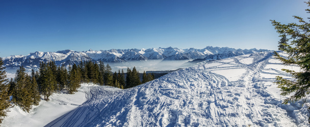 Panoramablick auf verschneite Berge mit Bäumen im Winter, Alpen, Deutschland - Foto, Bild