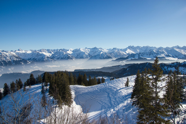 vista panorámica de las montañas nevadas con árboles en invierno, Alpes, Alemania
 - Foto, imagen