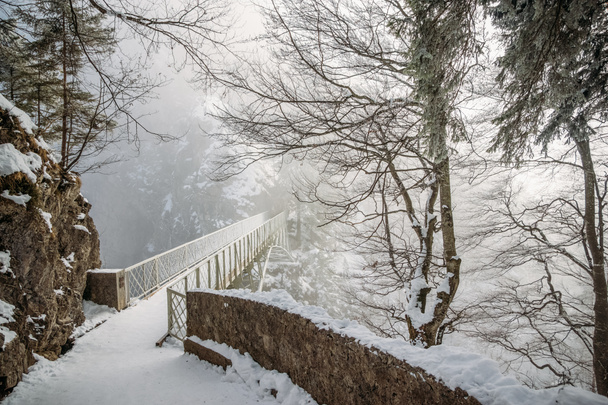 malowniczy widok drzewa i most w śniegu w pobliżu Zamek Neuschwanstein, Niemcy - Zdjęcie, obraz